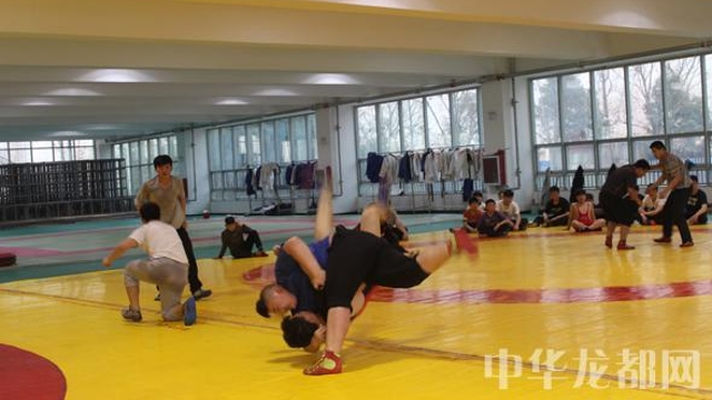 周口古典式摔跤队有实力但不轻敌