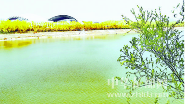 周口沙颍河畔绿意盎然