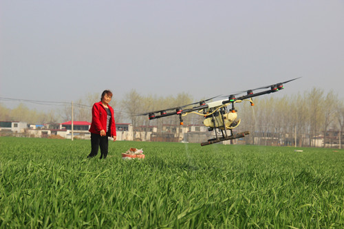 无人机洒“药雨” 防治小麦病虫害