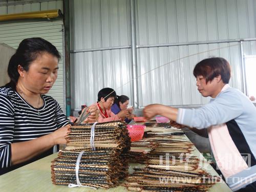 沈丘：“巧娘”巧手 促脱贫