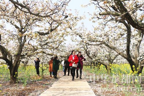清明踏青 好时节