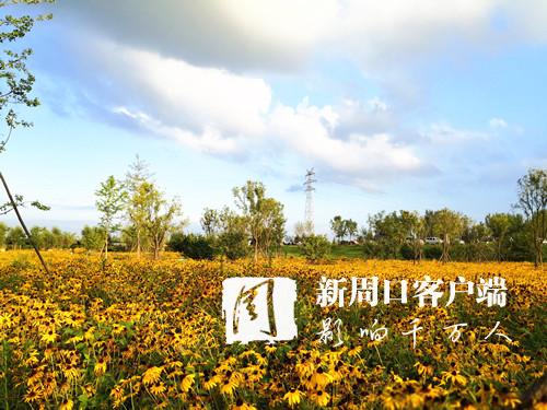 7月份周口市大气质量全省排名第三