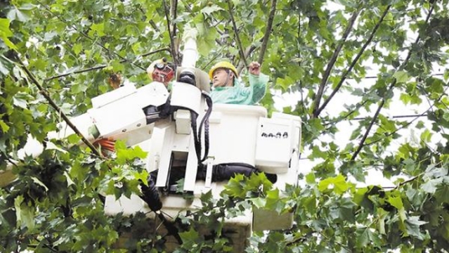 周口市全力迎战“温比亚”