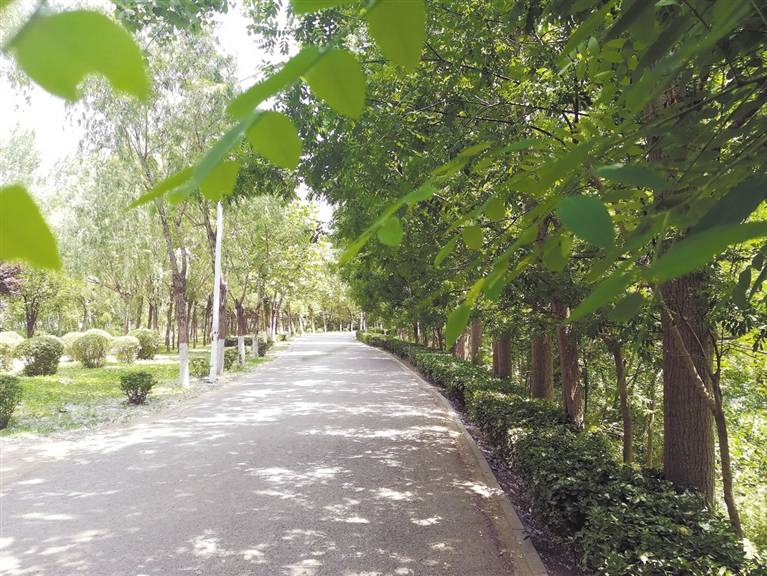 绿色三川惹人醉