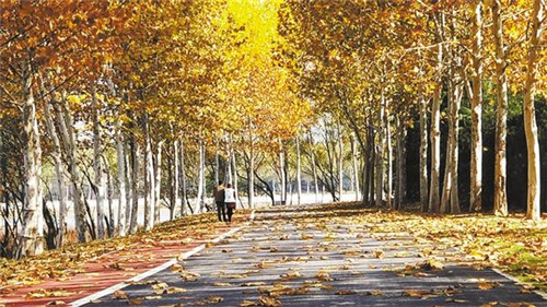 一径秋叶满园幽