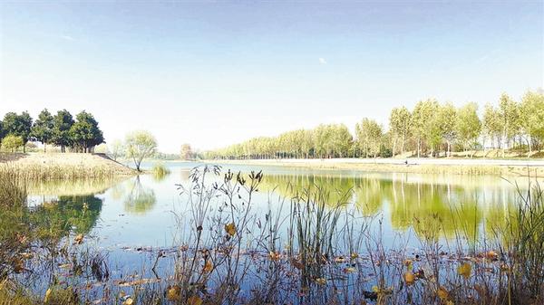 “五城联创 百城提质 大美周口”摄影大赛优秀作品选登（一）