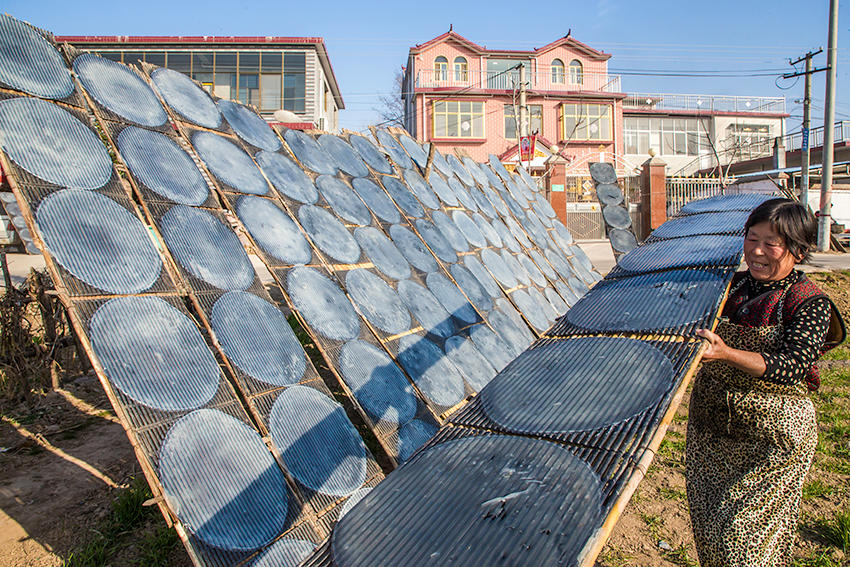 见过传统技法做粉皮吗？随镜头走进豫东农村看看吧