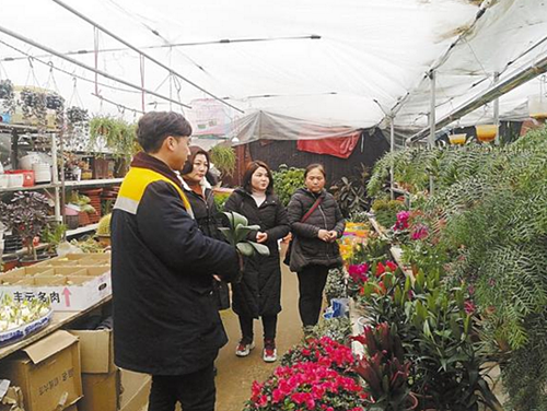 春节临近 周口花卉市场日渐火爆