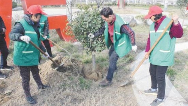 中心城区绿化养护奏响“春之声”