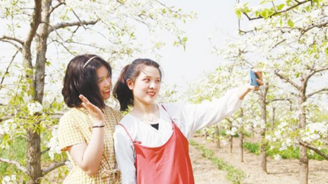 乡村一日游 假日备受宠