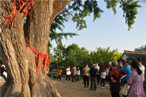 近郊游 文化游 丰富市民生活增加农民收入