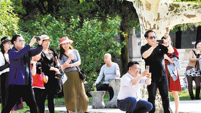 如画风景醉游人