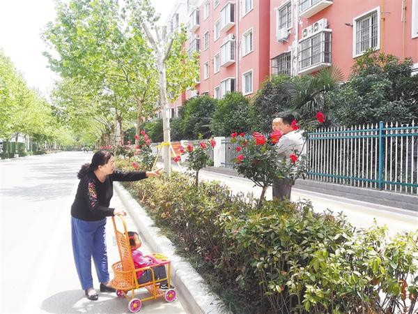 周口小街大变样 居民点赞