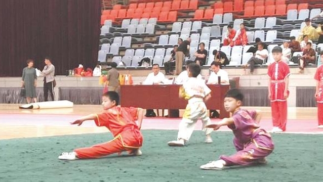 周口市举办2019年武术比赛