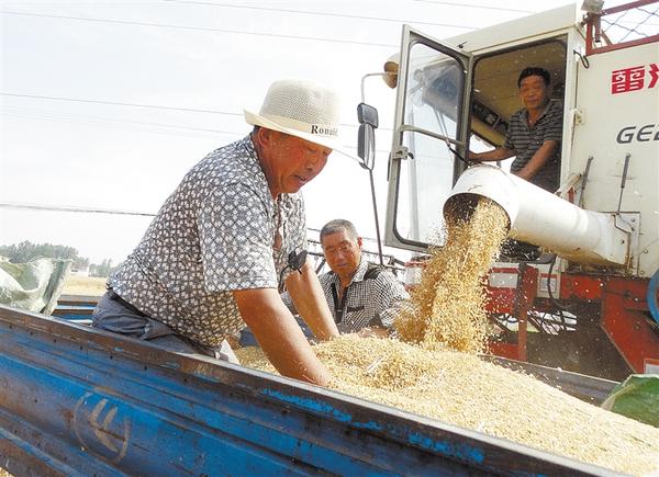 2019·“三夏”进行时
