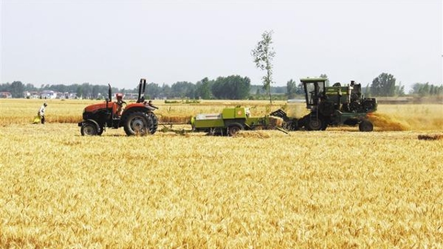 又到一年收获季