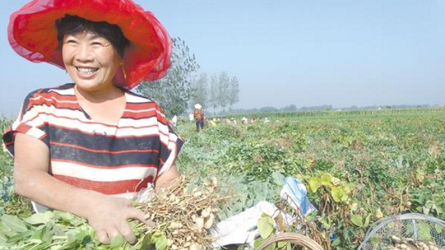 发展订单农业 带动农民致富