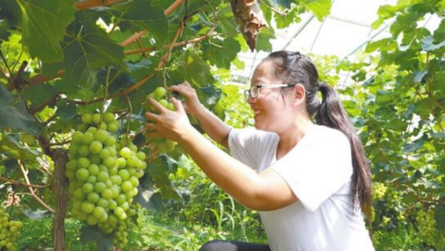 穰穰满家秋韵浓