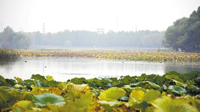 霜降时节秋意浓