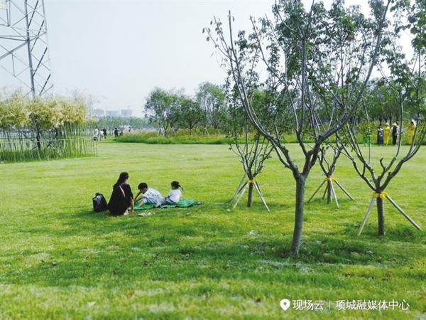 张伯驹公园秋色好