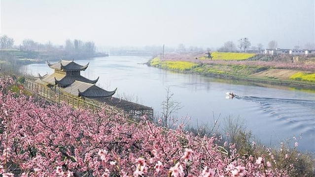 万基杯“通江达海 魅力新城”摄影展优秀作品选登（十一）