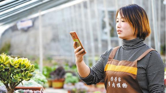 利用优势种花卉带领群众奔小康