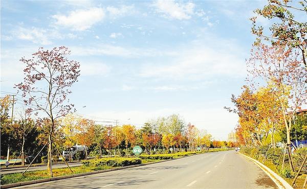 鹿邑有段 “网红路”