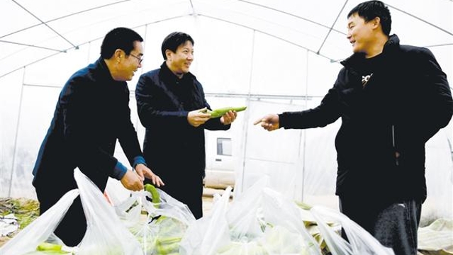 “扶贫辣椒”畅销