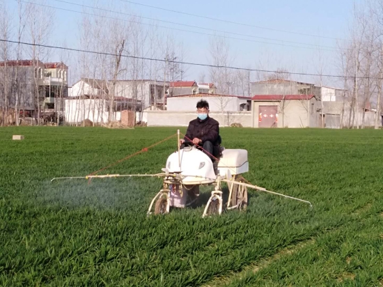 周口西华县：党建引领助生产 防疫不忘忙春耕