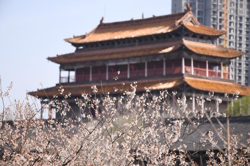 周口：春天贾鲁河 风情别样多