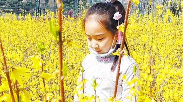 春光无限好 赏花正当时