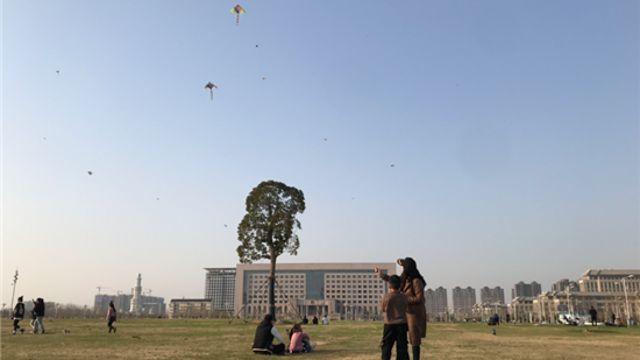 放风筝享受春光