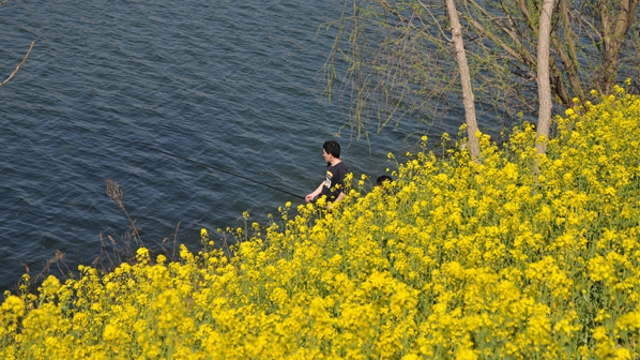 周口有个“小婺源”