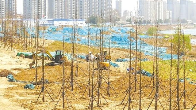 沙颍河生态改造正酣