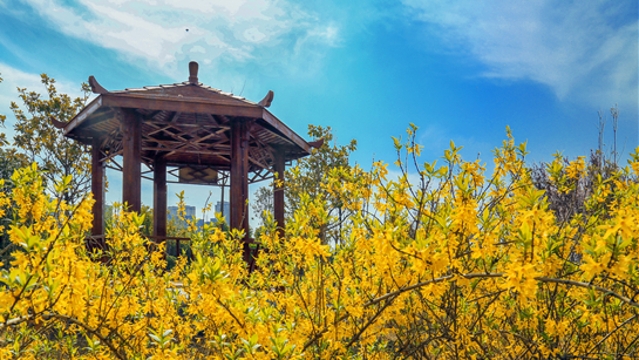 满园春色关不住