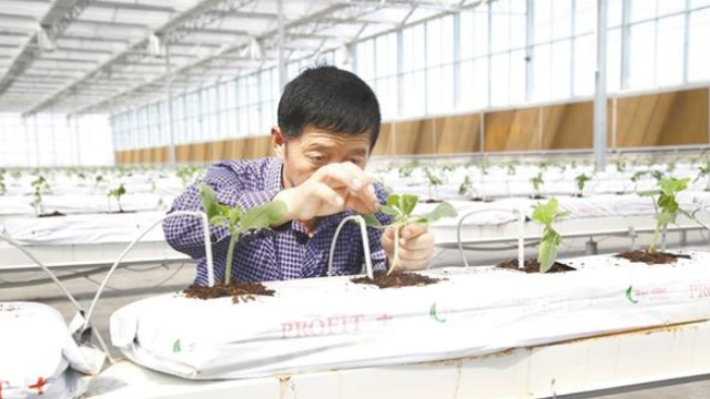 让乡村更美丽 让农民更富足