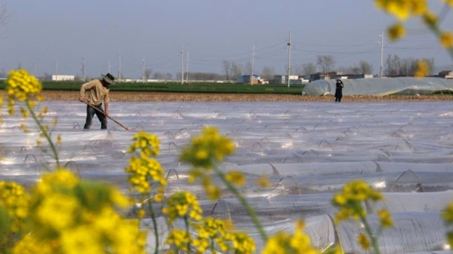 商水郝岗农民春耕忙