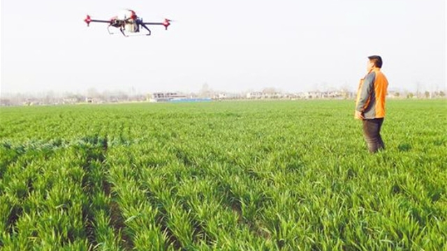 沈丘周营技术员操作无人机防病虫害