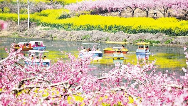 市民走出家门 感受春天气息