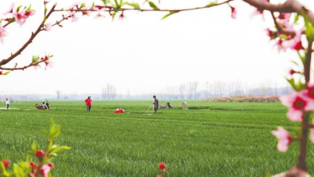 春暖农事忙