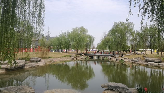 踏青赏花 清明“火了”本地游