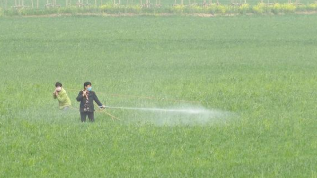 春光无限好 农忙正当时