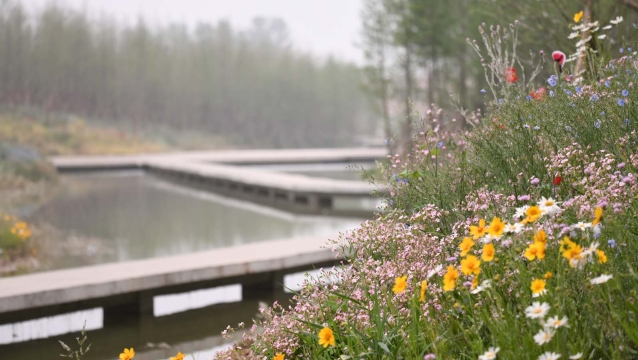 周口市城乡一体化示范区的引黄调蓄工程美若江南水乡