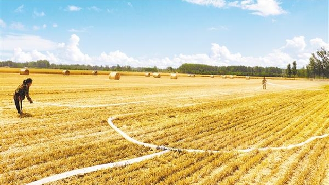 抢收抢种不误农 抗旱保苗促丰收