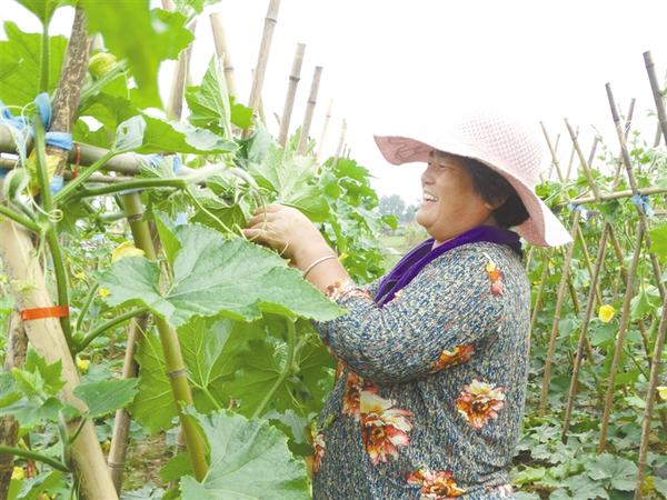 发展特色农业 助力乡村振兴