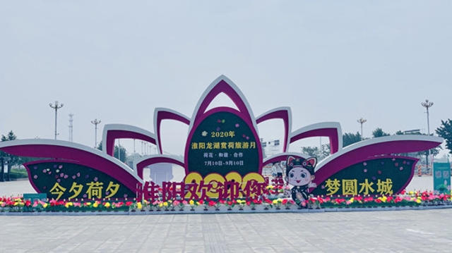 淮阳荷花节即将开幕