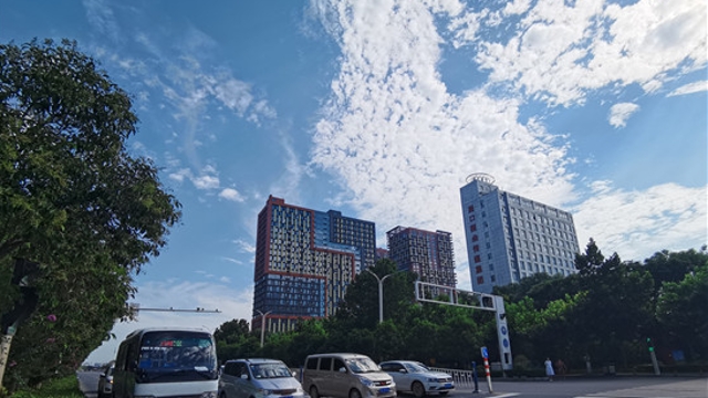 周口街头皆美景