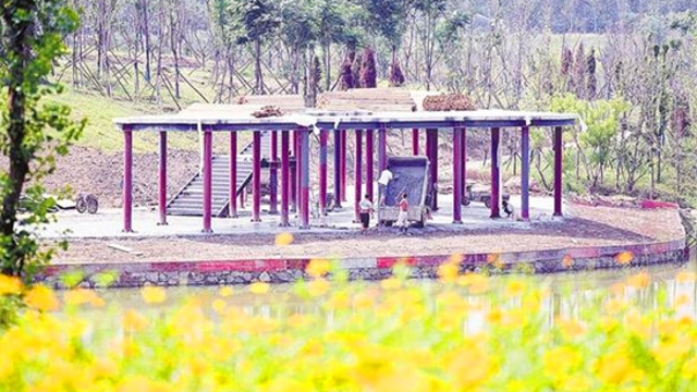 周口沙河湾湿地公园雏形初现