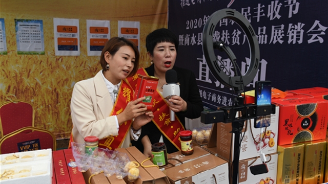 丰收节里直播销售忙