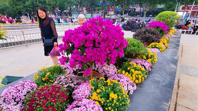 五一文化广场鲜花装扮迎“十一”